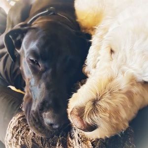 Meet your Posher, Mackenzie